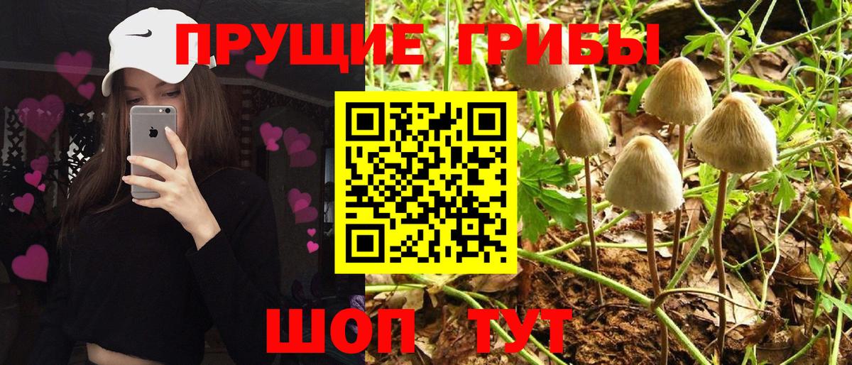Псилоцибиновые грибы Magic Shrooms  Вход с VPN  Туапсе 
